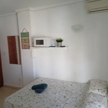 Estudio Caballo-piscina 데니아