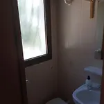 Estudio Caballo-piscina